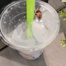 Customer allegedly finds cockroach in drink from Mr Bean outlet in Queenstown, company investigating matter