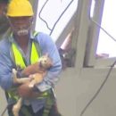 Cat of woman who died in Taiwan quake rescued, owner was crushed trying to save her