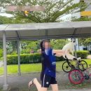 Woman in S’pore swings cat around in viral video, animal lovers call out abuse