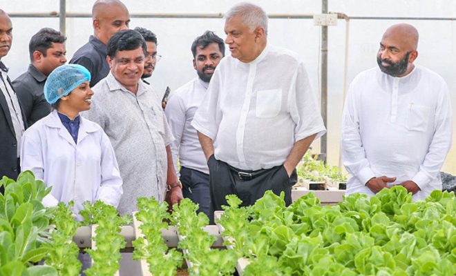 The government fully supports private entrepreneurs committed to advancing modern agriculture through cutting-edge technology
