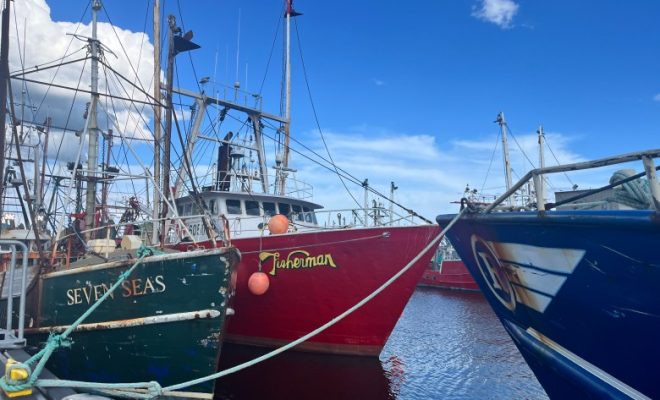 Police seize 3,000 pounds of illegal haddock from New Bedford seafood plant