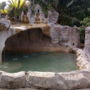 leptospirosis melaka hot springs