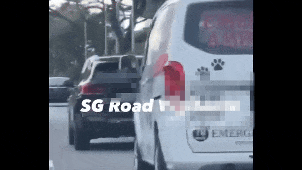 ’Animals are also living things’: Owner slams car for not giving way to pet ambulance along ECP, dog dies
