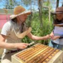 Bee-lieve it – honey handcrafting