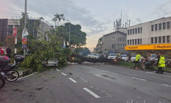 Massive tree crushes car Malaysia 3