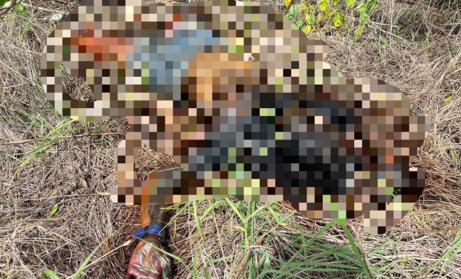 murdered girlfriend's corpse thailand 3
