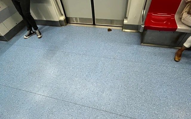 Woman allegedly finds poop in Thomson-East Coast MRT cabin, claims it’s why the line’s brown