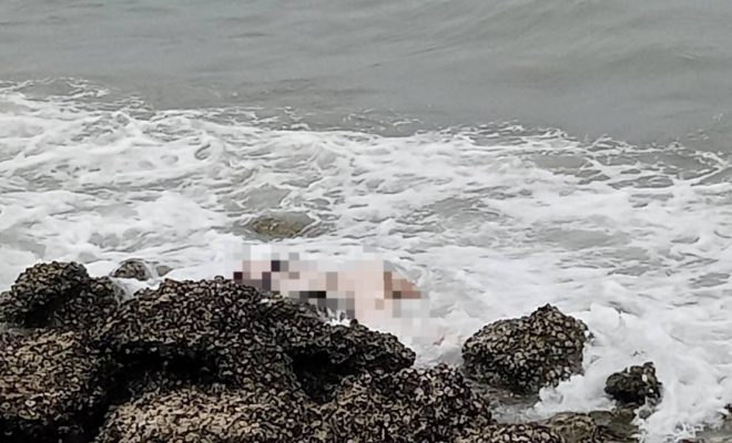 Thai woman naked body 1