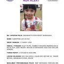 6-year-old M’sian girl goes missing in JB, S$20,000 in rewards offered for her return